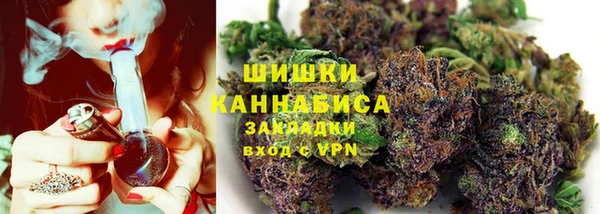 альфа пвп Новодвинск