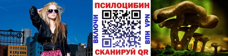 Псилоцибиновые грибы Psilocybe  цена   Куртамыш 